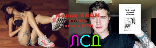 гидра Няндома