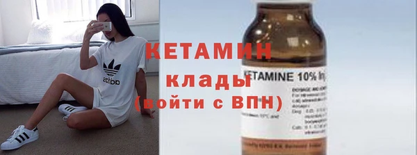гидра Няндома