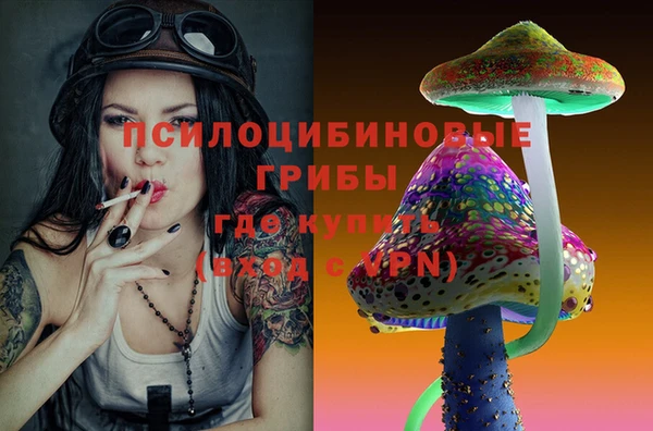 индика Абдулино